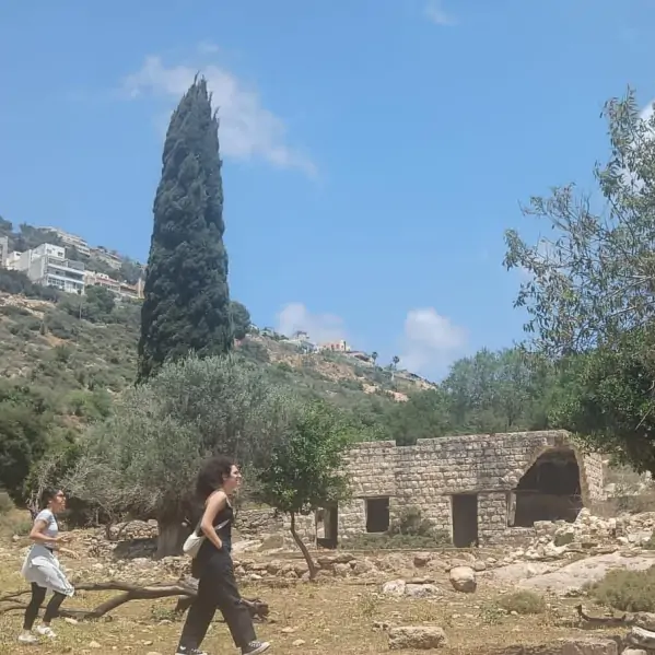 בן גביר ביטל את צעדת השיבה, עשרות סיורי מחאה התארגנו בתגובה